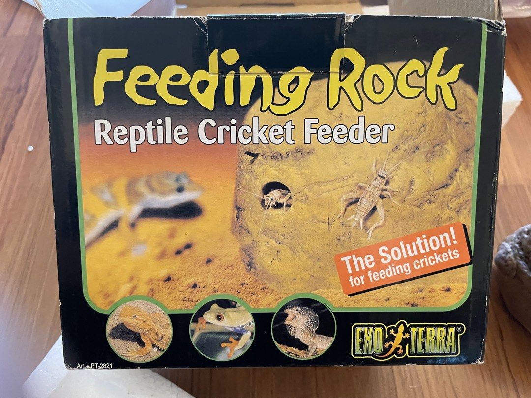 Cricket feeder rock top