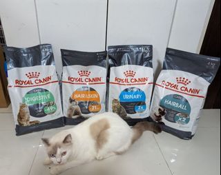 🔥FREE DELIVERY!! Royal Canin Cat Food Dry Supplies! Feline Care Nutrition! Digestive, Hair & Skin, Urinary, Hairball! Available in 2kg, 4kg and 10kg! Check out in description for pricing. Other variation available; Fit and Indoor!