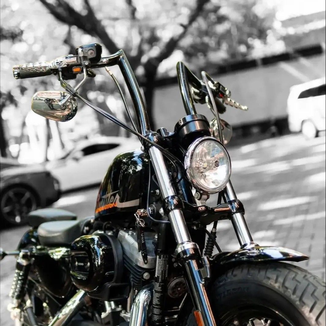 Stang harley clearance sportster
