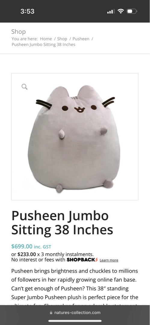 Jumbo pusheen plush on sale