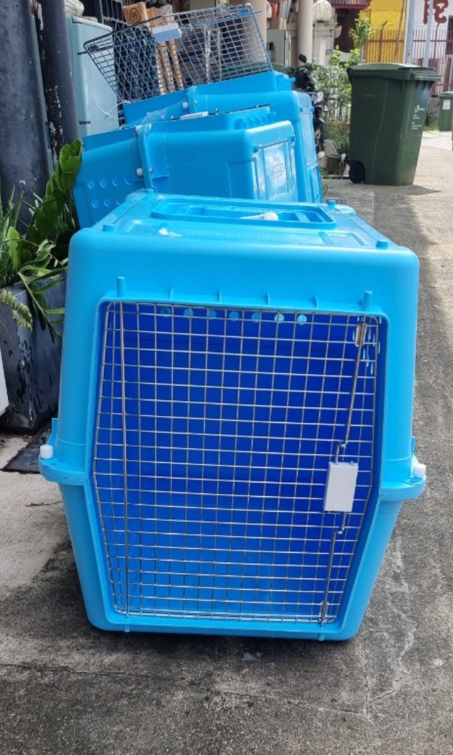 Large Airline Approved Pet Carrier dog cat IATA crate training pp50