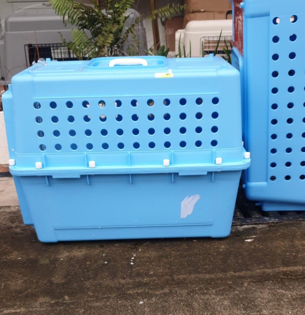 Large Airline Approved Pet Carrier dog cat IATA crate training pp50