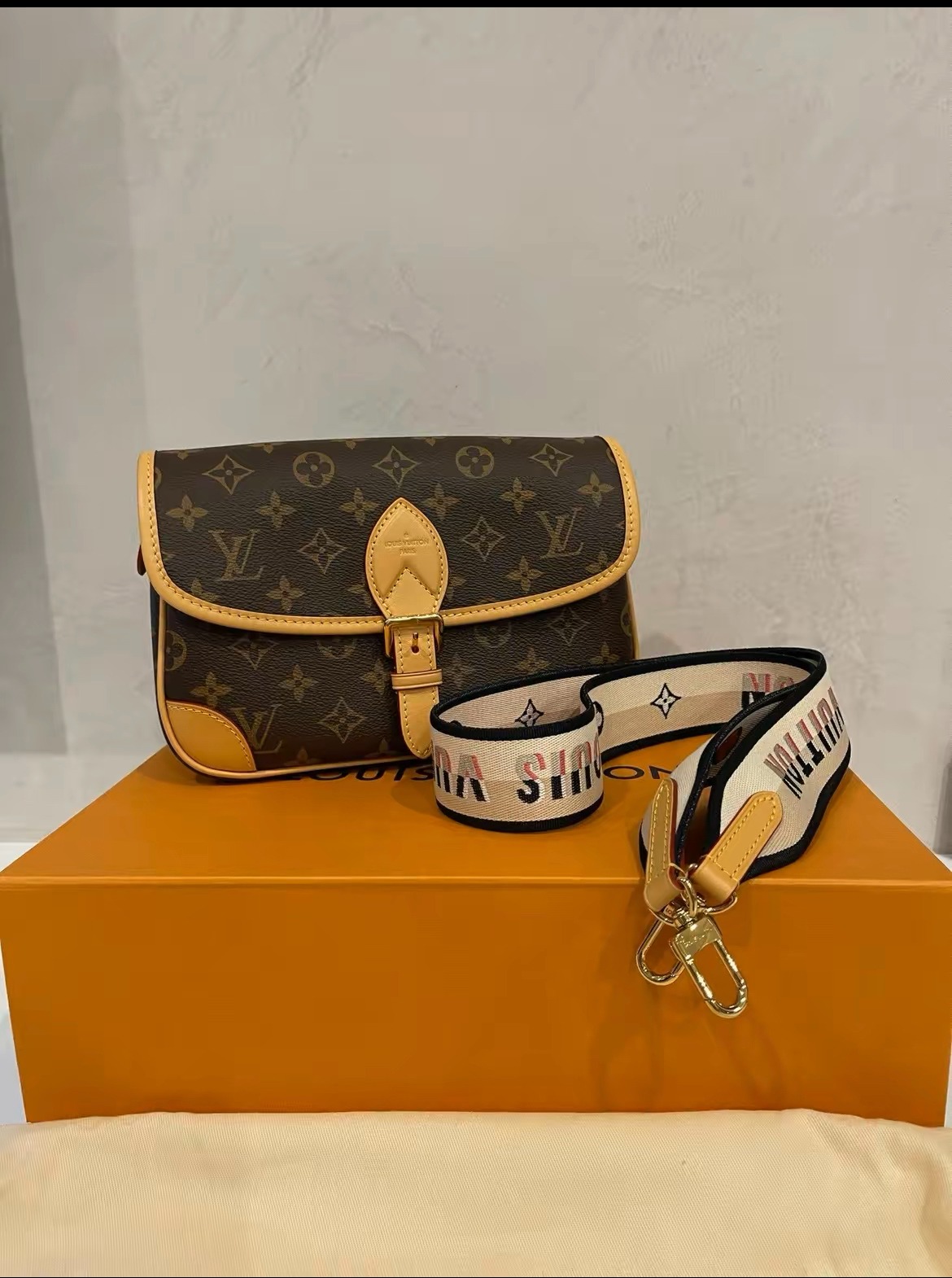 LOUISVUITTON Diane PM, Luxury, Bags & Wallets on Carousell