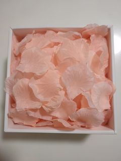 Artificial Rose Petals  Collection item 3