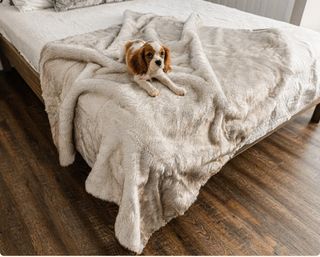 Pet Cool Comfort Waterproof throw blanket
