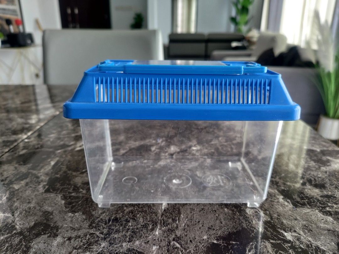 Plastic Aquarium Tank For Betta Fish, Pet Supplies, Homes & Other Pet