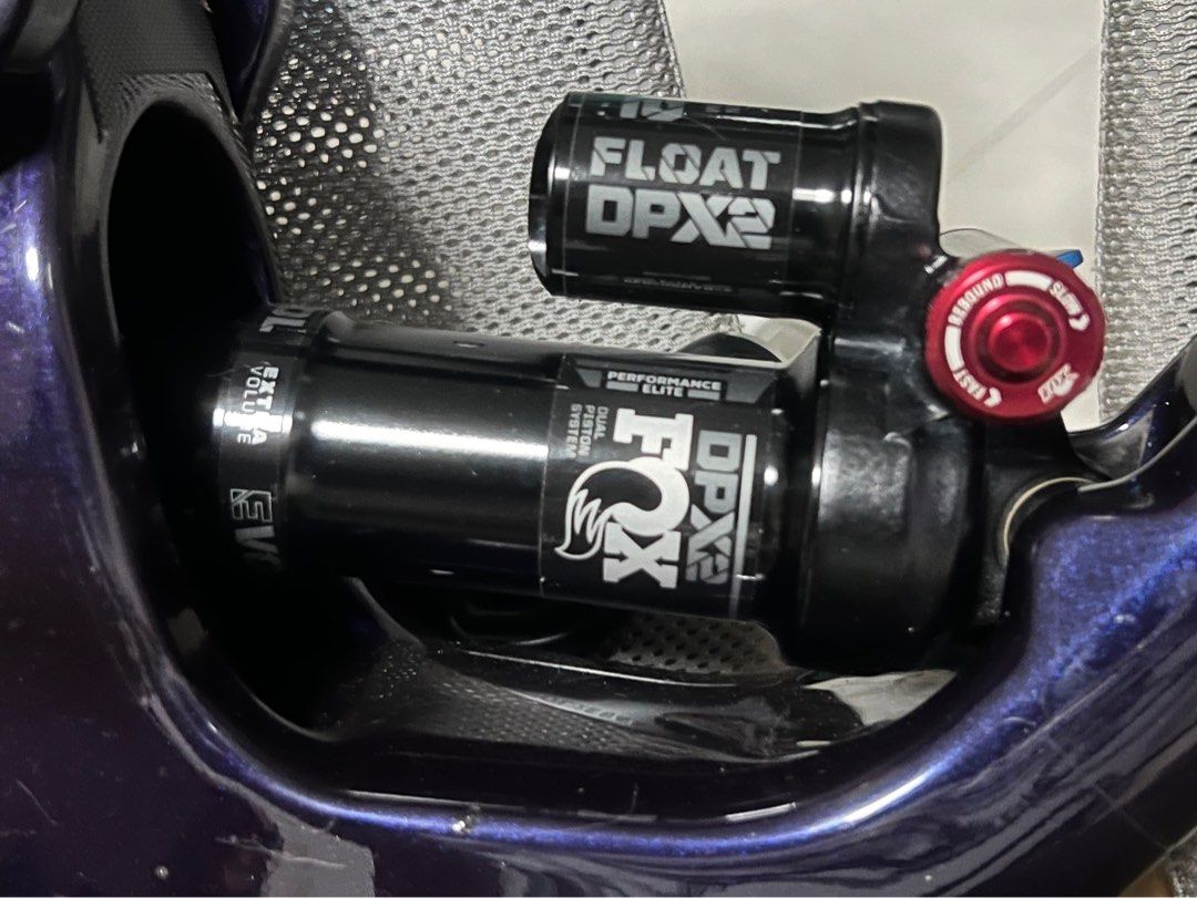 forbidden druid frame price