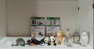 （分類：）位於 。 由 _y33. 提交（商品編號 1233084829，圖片 1）。簡介： 。