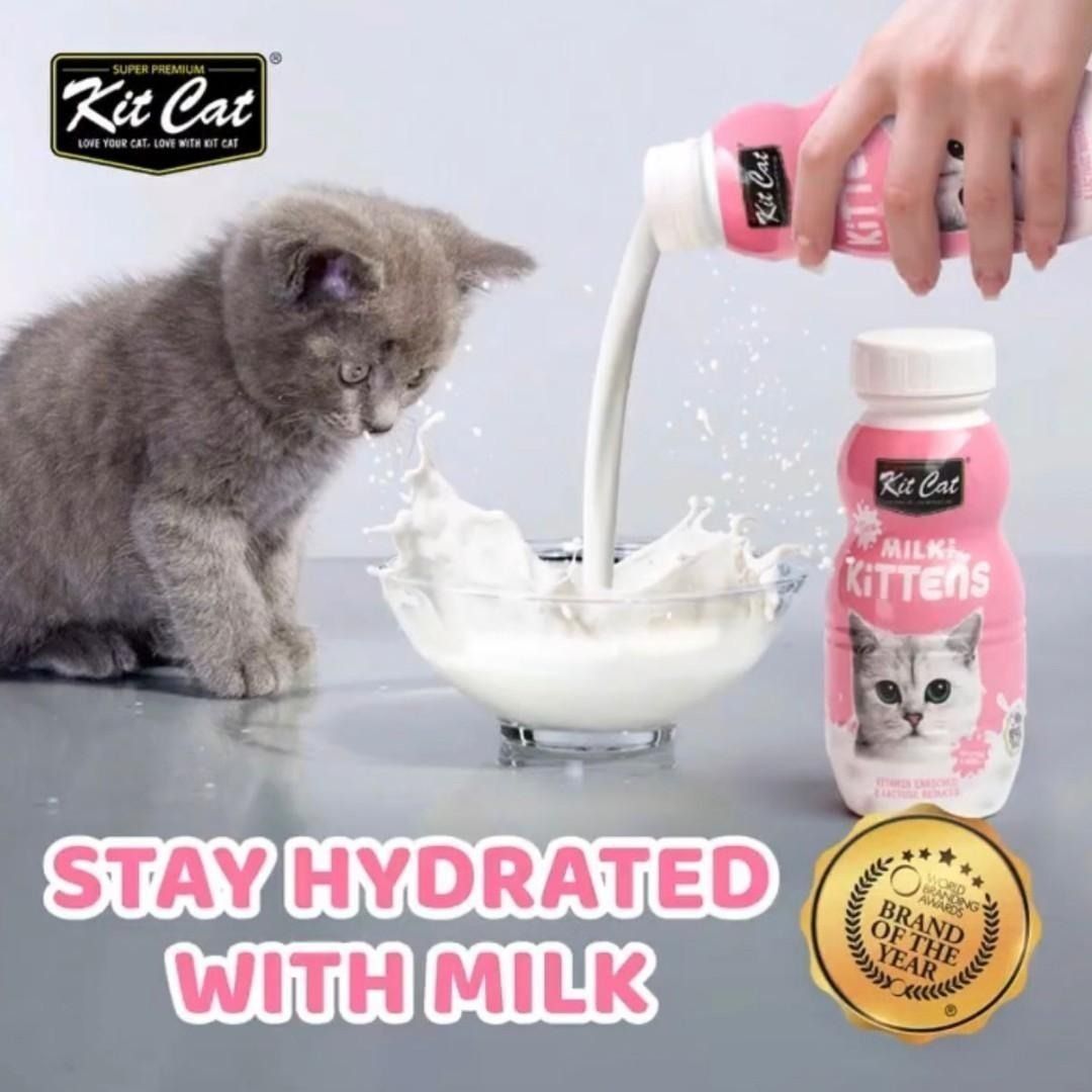 Senior cat milk hotsell