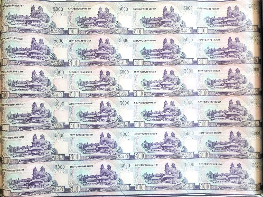 全新> 北韓5000韓元24連張(2006年), 興趣及遊戲, 收藏品及紀念品, 錢幣- Carousell