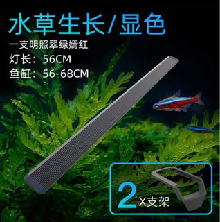 （分類：）位於 。 由 aaron0708 提交（商品編號 1233224904，圖片 1）。簡介： 。