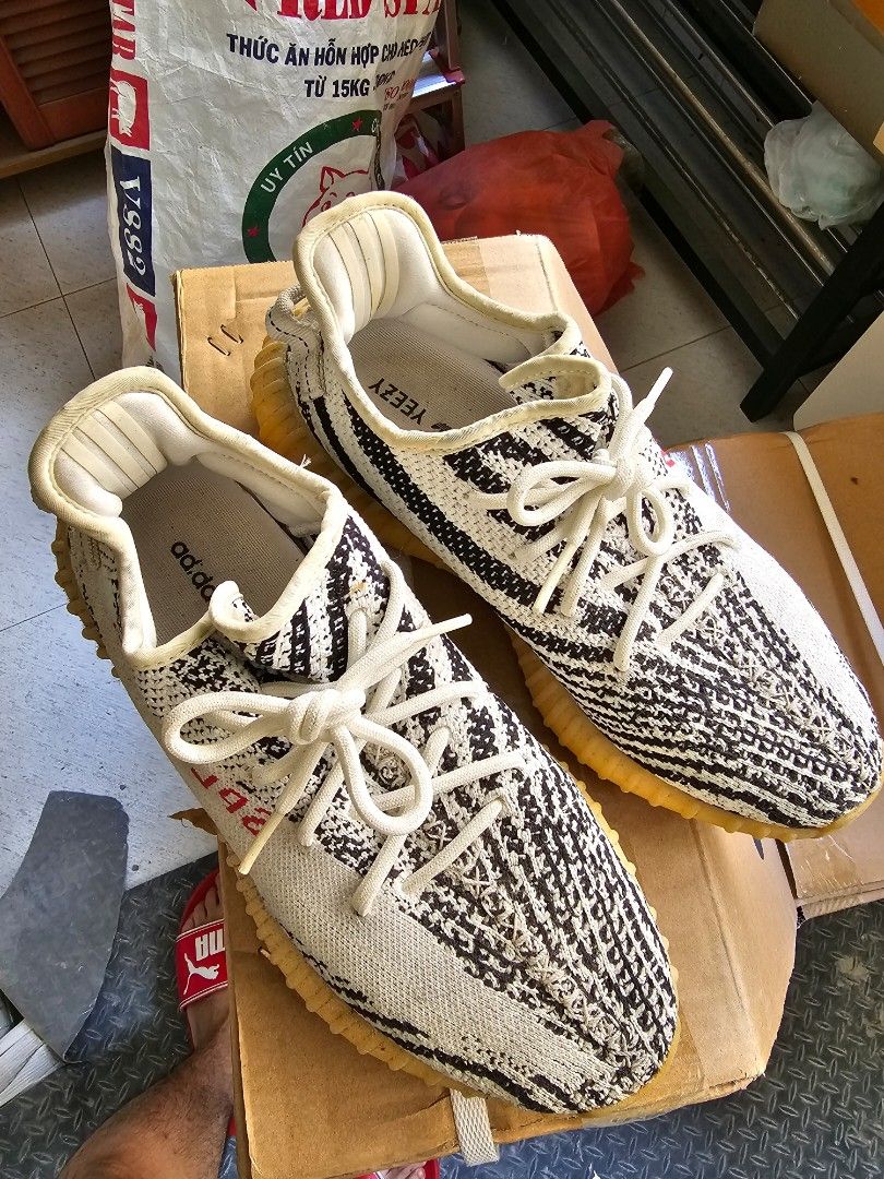 Zebra sneakers adidas best sale