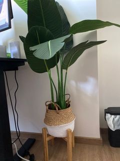 (Category: ) located in . Submitted by cloudsquare (Listing ID 1233255957, Image 1). Description: .