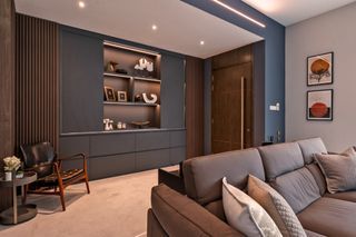 Display and Storage Cabinet
