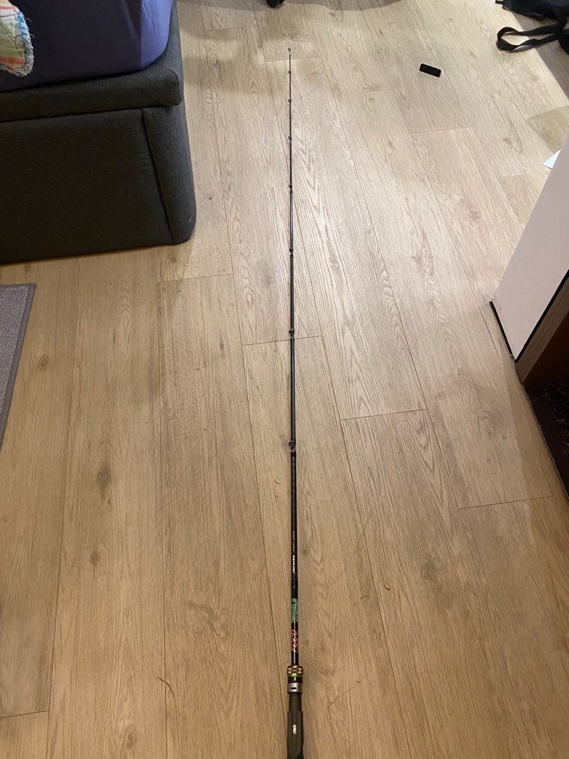 VENTE FEED ROD Baitcast Jungle Pin Point JBC-66 M P.E 2 Max (0163) EUR
