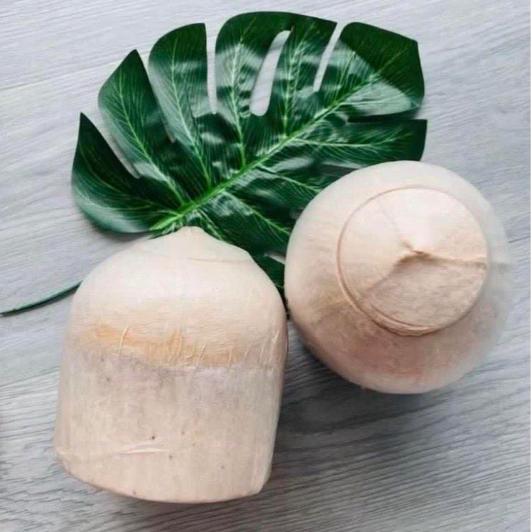 Fresh Coconuts, Ready to Drink and Easy to Open with just a spoon
