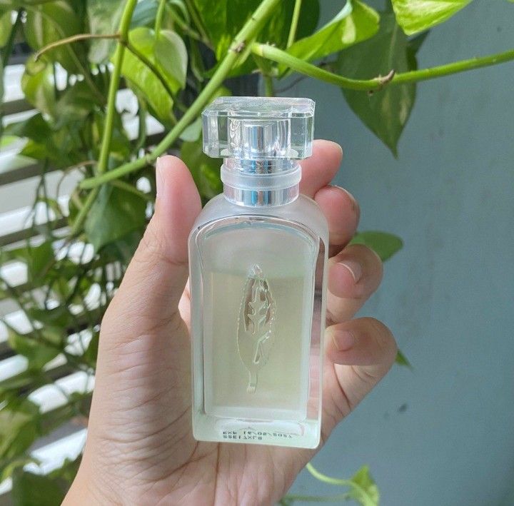 Miniso green tea perfume discount review