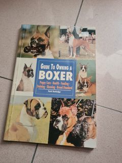 Guide To Owning A Boxer