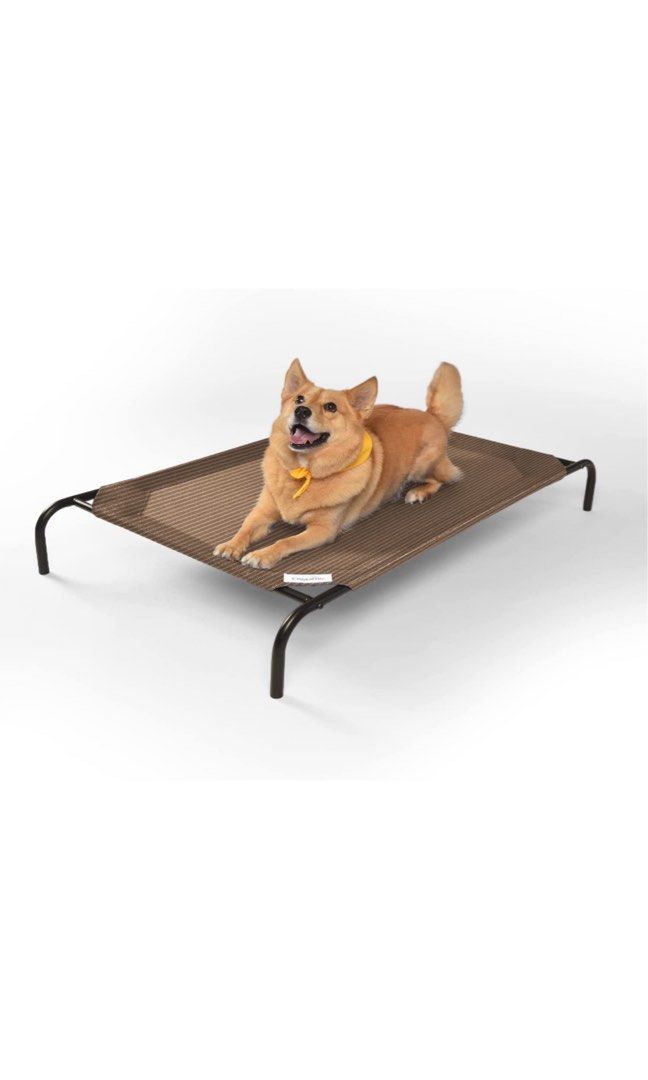 Nutmeg Coolaroo Elevated Dog Bed (Large), Pet Supplies, Homes & Other