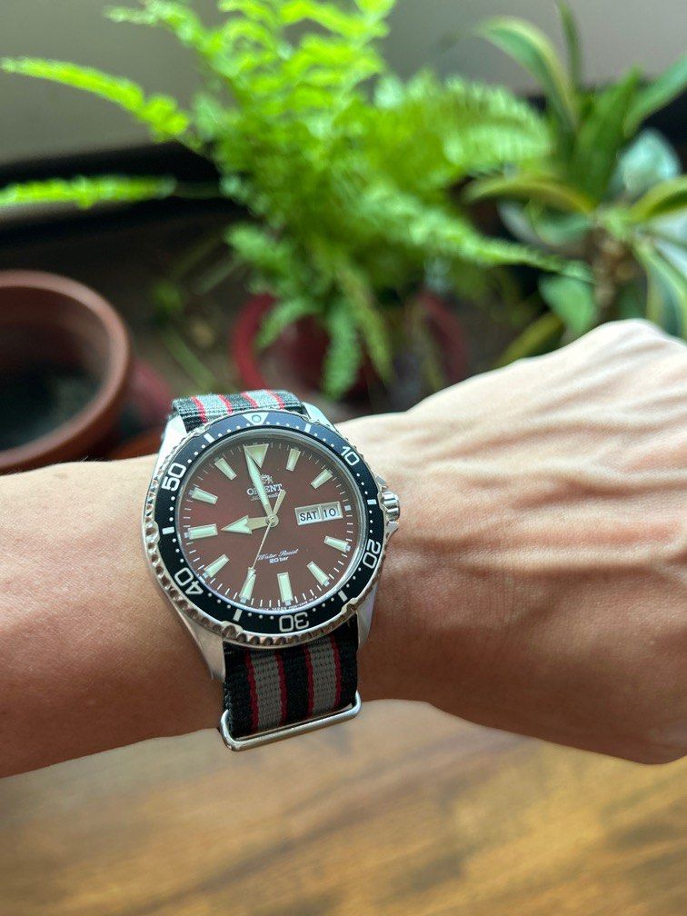 Orient Kamasu Red, Luxury, Watches on Carousell