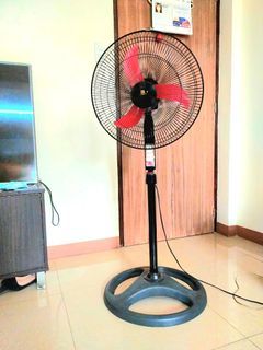 Tall and Cold Electric Fan