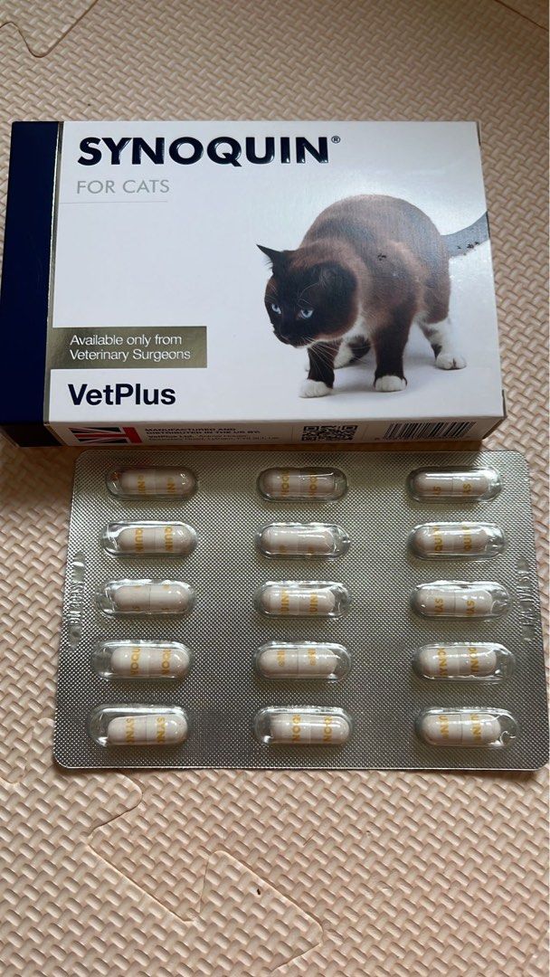 Synoquin cat outlet