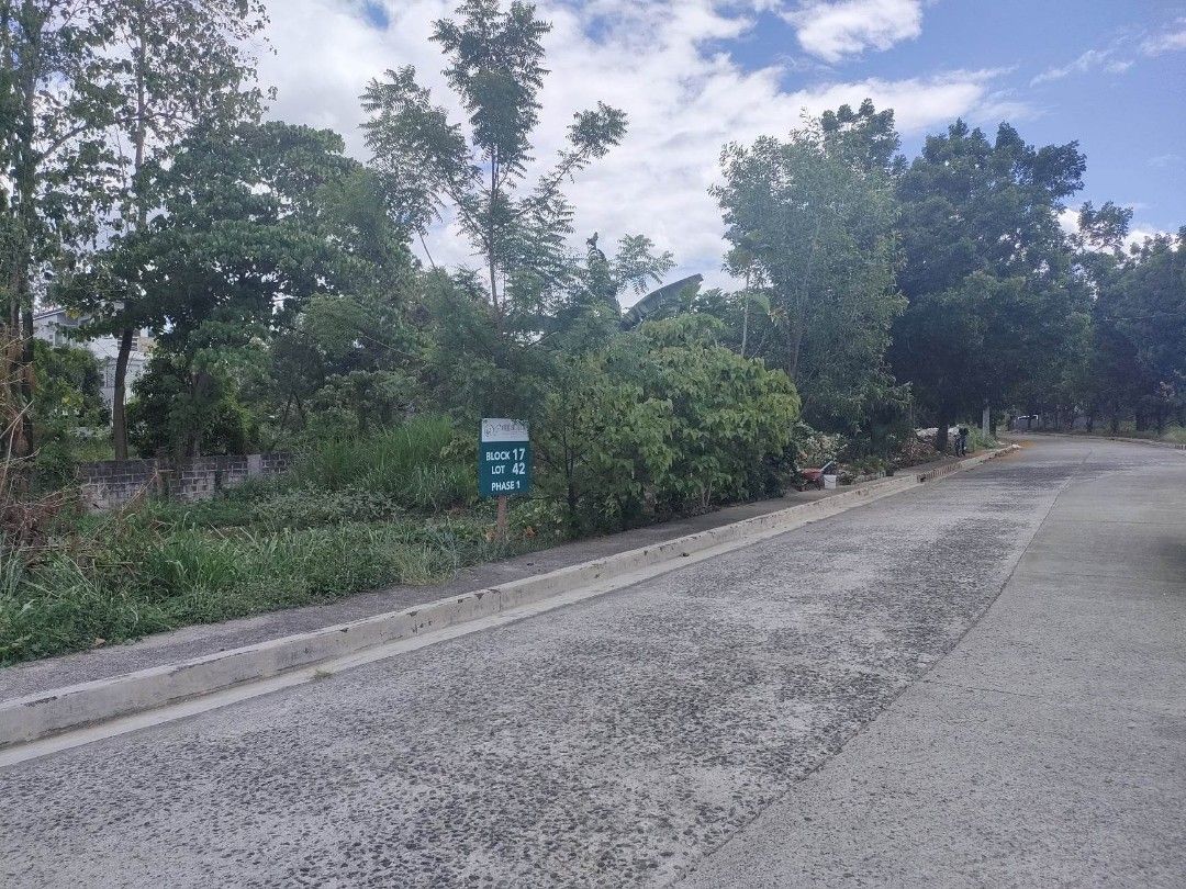 Woodridge Heights Lot For Sale 204 sqm in Marikina City, Property, For