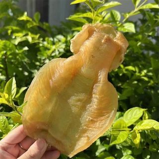 海味高價收購赤嘴魚膠 深海老膠 陳年老花膠回收 日本幹鮑 印尼燕窩 海參
