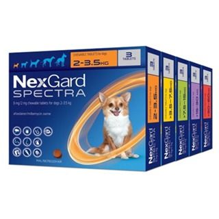 Brand new Nexgard Spectra chew Come in all 5 sizes for dogs Pet