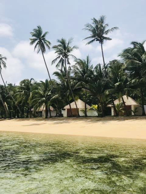 (Category: ) located in . Submitted by propertyinquiryph (Listing ID 1233401162, Image 1). Description: .
