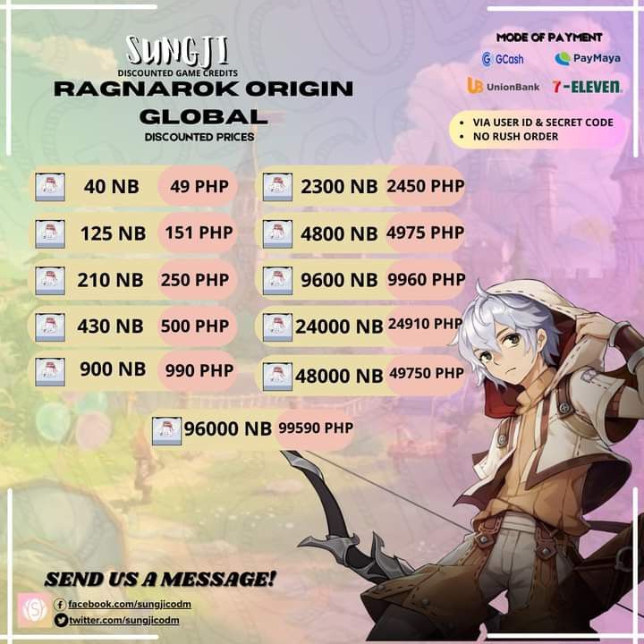 DISCOUNTED RAGNAROK ORIGIN ROO NYAN BERRY, Video Gaming, Gaming