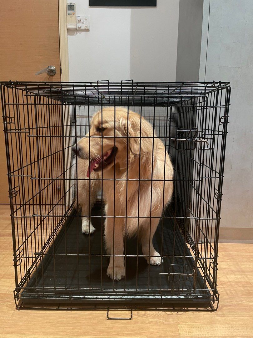 Extra Large Dog Cage crate Pet Supplies Homes Other Pet