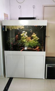 (Category: ) located in . Submitted by sjh090 (Listing ID 1233390935, Image 1). Description: .