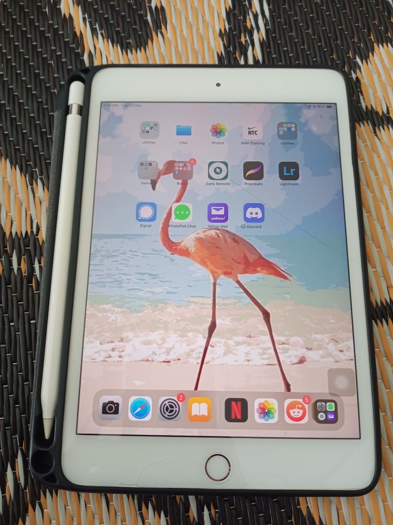 Ipad Mini 5 with Apple pencil, Mobile Phones & Gadgets, Tablets 
