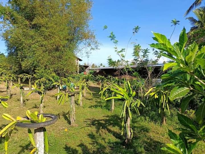 Lemery Batangas near Tagaytay City Residential/ Farm lot with concrete
