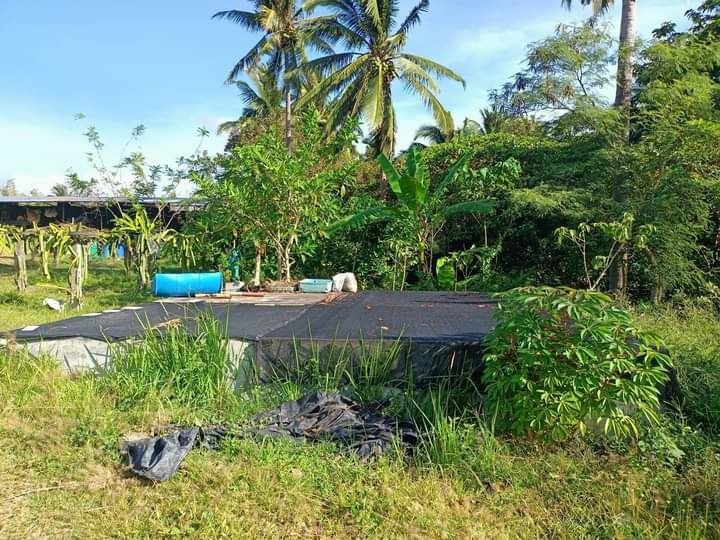 Lemery Batangas near Tagaytay City Residential/ Farm lot with concrete