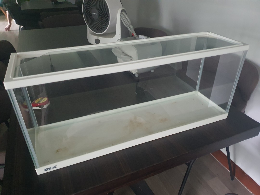 Long Narrow Fish tank, Pet Supplies, Homes & Other Pet Accessories on  Carousell