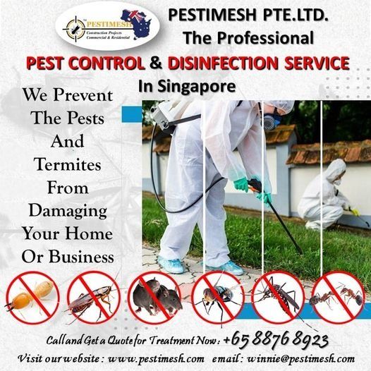 Pest Control for Bedbugs Ants Flies Cockroaches Rats Termites Bees