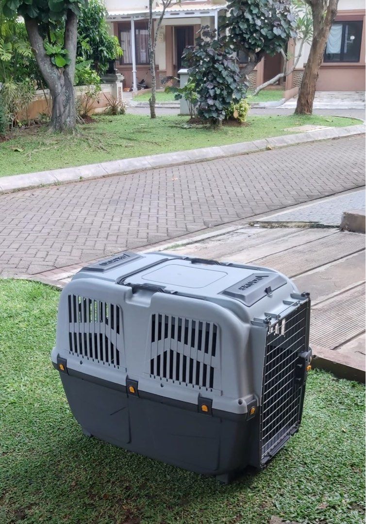 Pet Carrier Skudo on Carousell