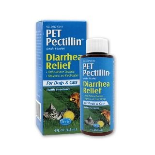 Pet pectillin top