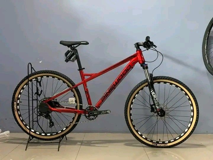 PINEWOOD EASTER 29er, Sports Equipment, Bicycles & Parts, Bicycles on