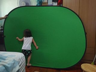 Green Screen with Stand Panel - Selens Chameleon