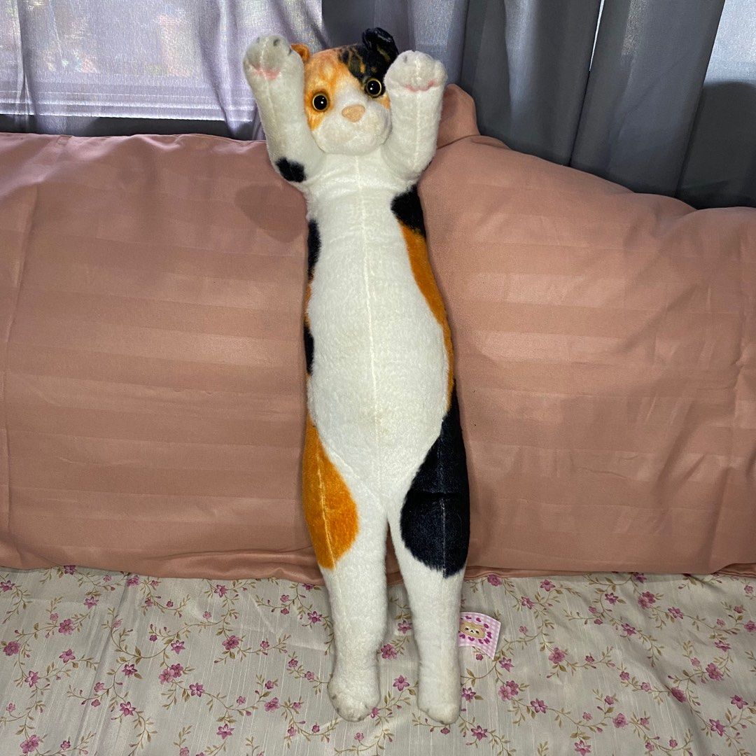 Standing realistic cat plush toy, Hobbies & Toys, Toys & Games on Carousell