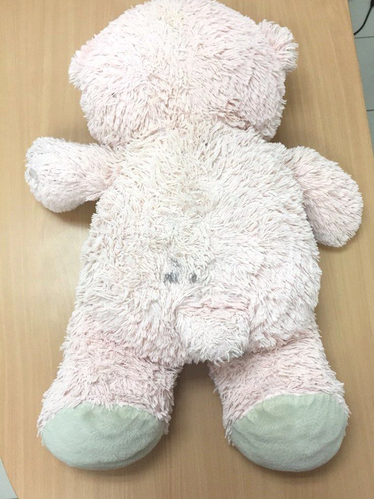 Big Teddy Bear (Category: Plushies & Soft Toys) located in Muntinlupa City. Submitted by grateful_heart78 (Listing ID 1233448725, Image 3). Description: attached are actual photos. Free blue magic paper bag attached .
