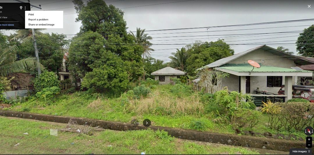 Binulasan infanta, Property, For Sale, Lot on Carousell