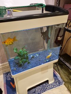 (Category: ) located in . Submitted by eminds123 (Listing ID 1233665823, Image 1). Description: .