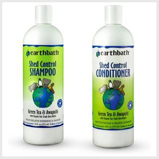 earthbath Green Tea & Awapuhi Pet Shed Control Shampoo - Helps Relieve Shedding & Dander, Aloe Vera, Shea Butter, Good for Dogs & Cats, Nourish & Detoxify Skin and Coat - 16 fl. oz, Pack of 2