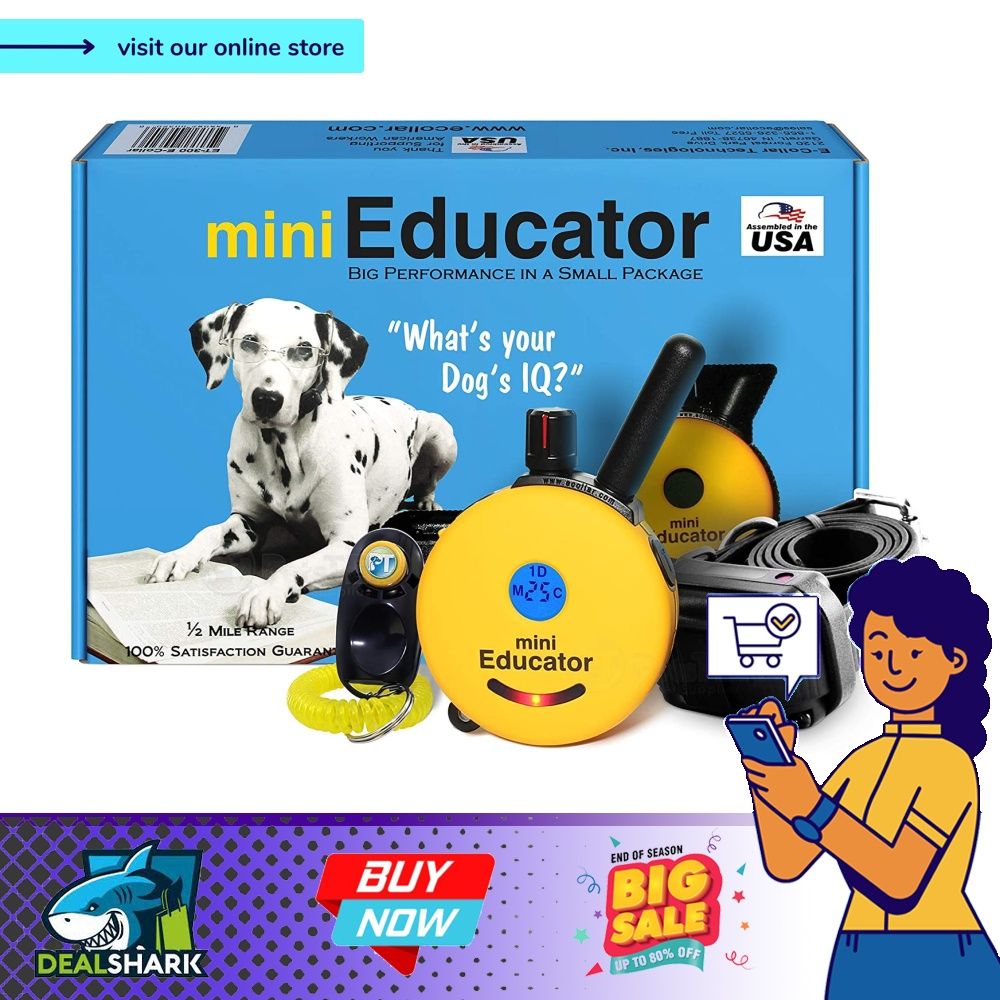 E collar clearance mini educator training