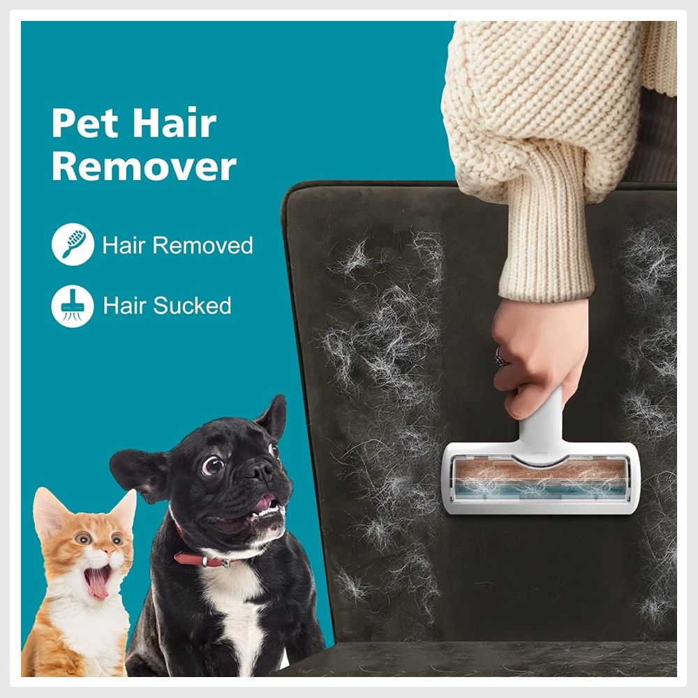 Noise box for dogs sales