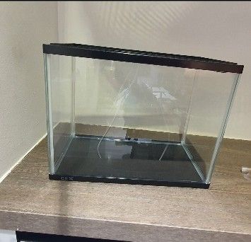 Fish tank with water pump